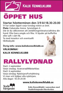 Studiefrämjandet öppet hus o rallylydnad kkk 95x140 v36 -15