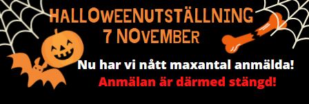 Anmälan till Halloween utställningen STÄNG!