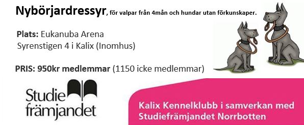Start 12 november Start 12 november