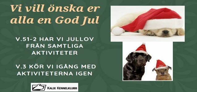 God Jul