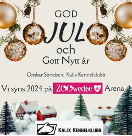 God Jul